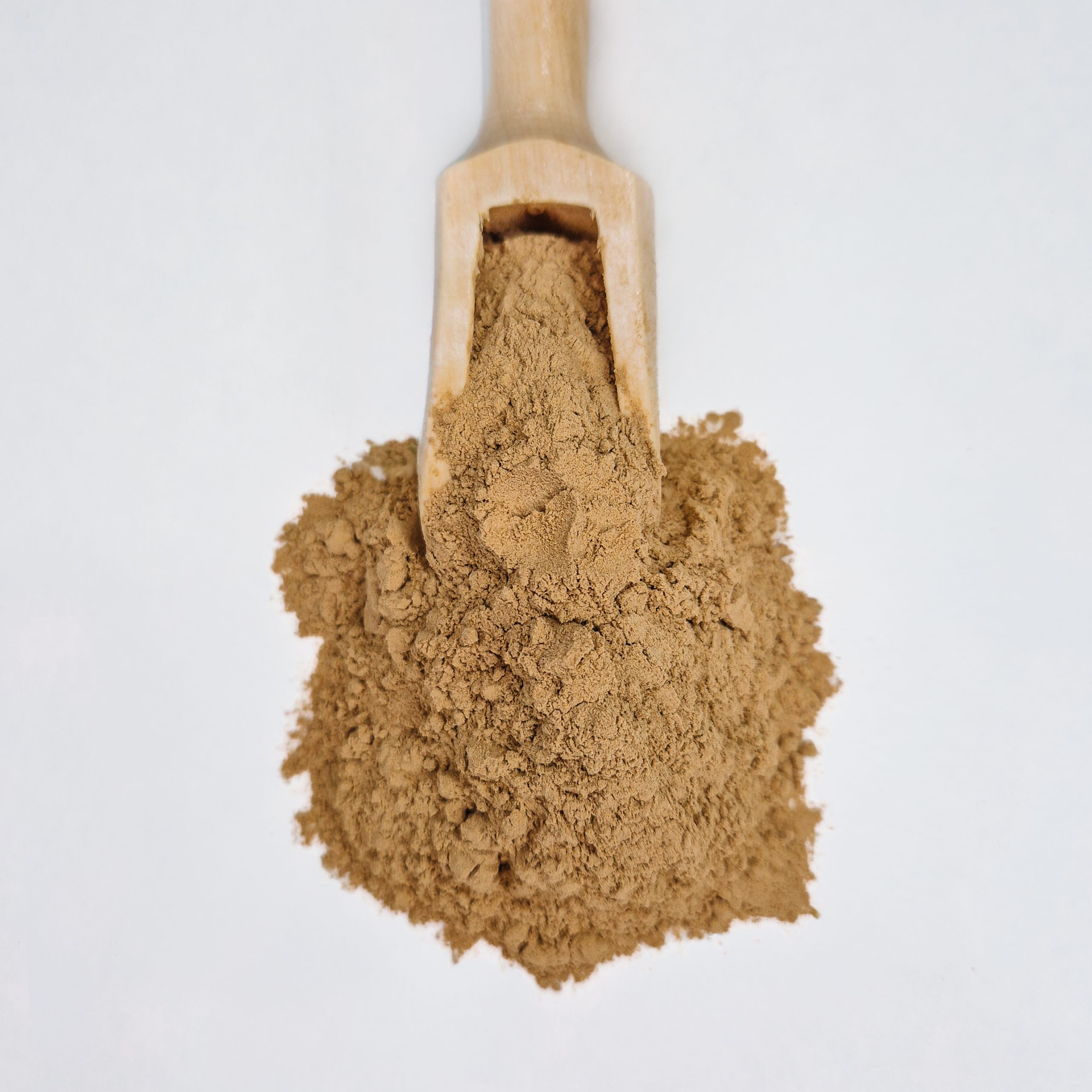 Amla Berry Powder - Organic