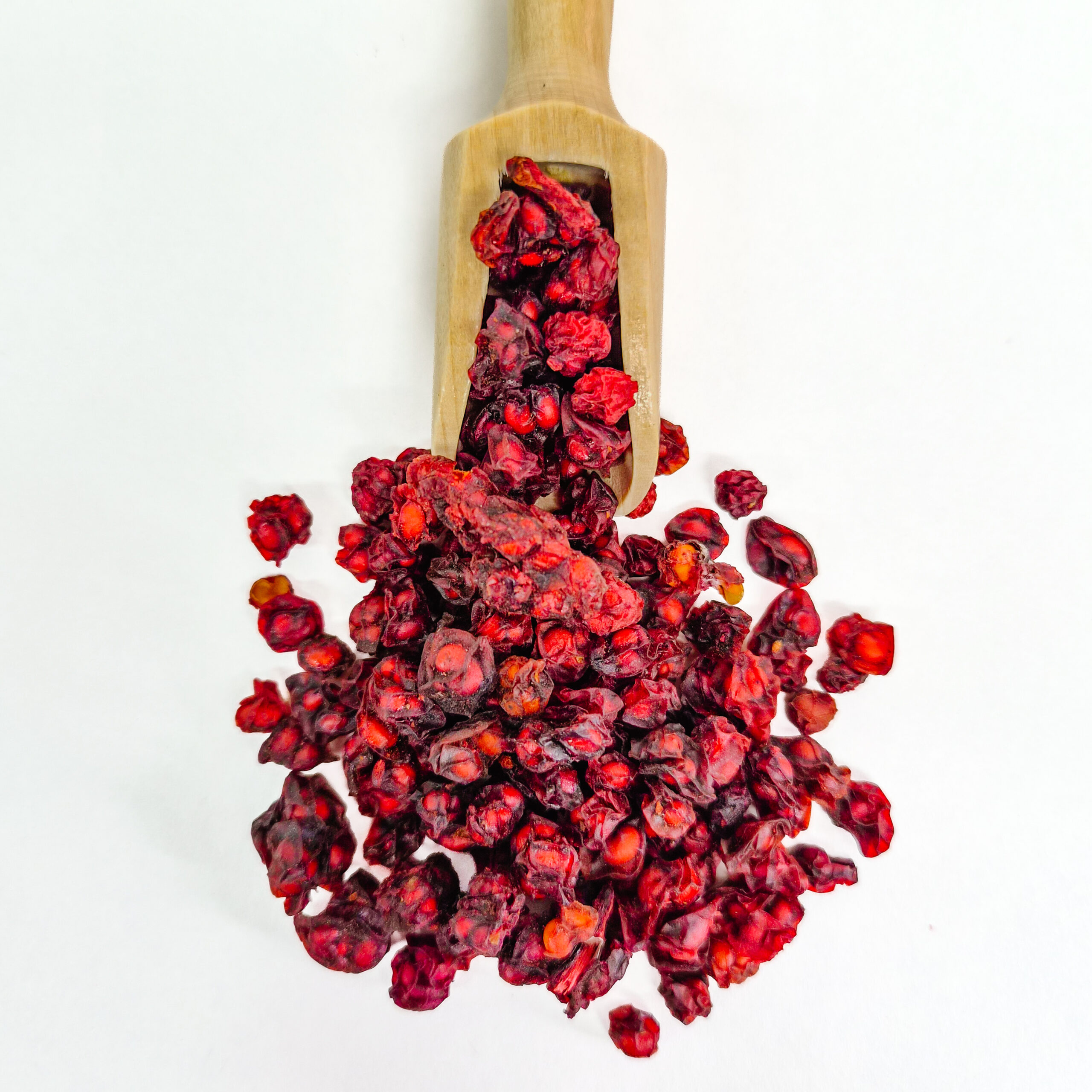 schisandra dried