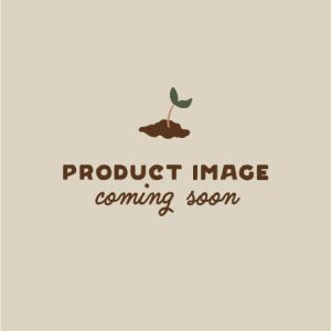 Shop Seeds
