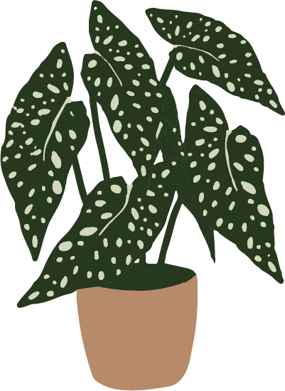 Grown In: 